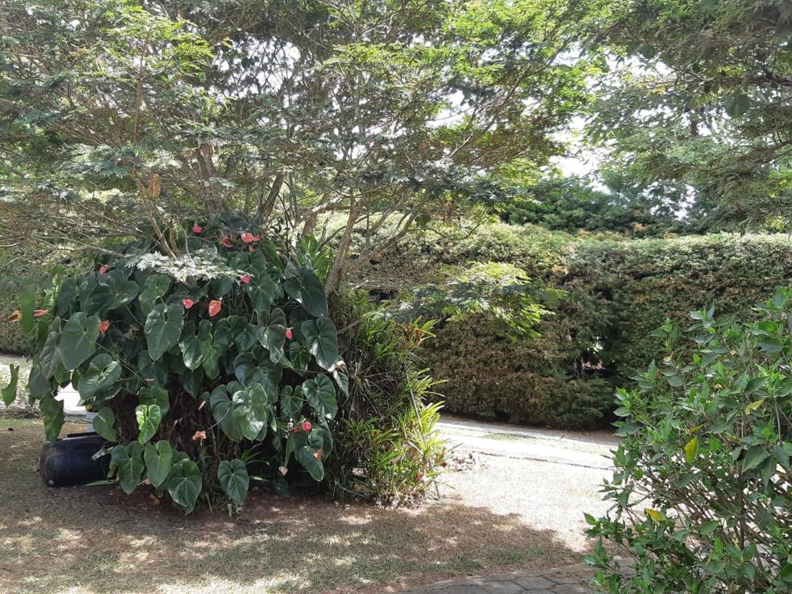 Finca Paraiso 卡利马 外观 照片
