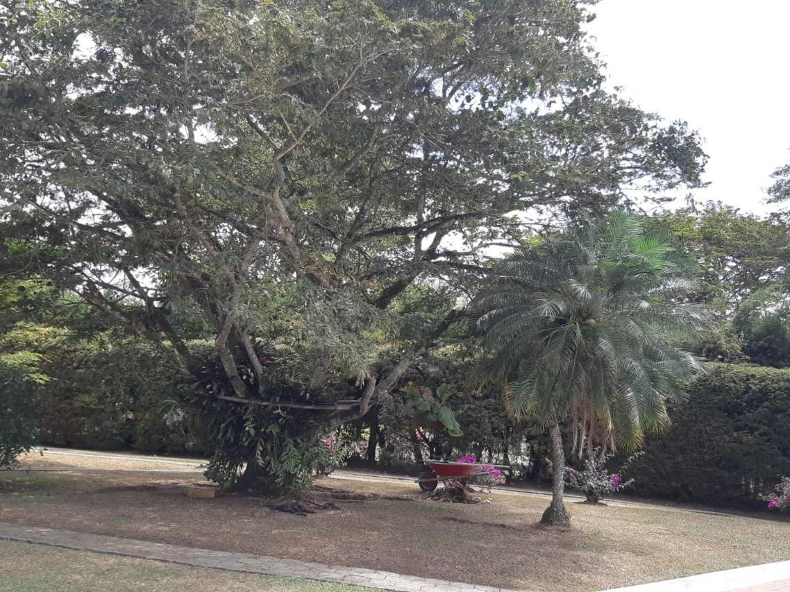 Finca Paraiso 卡利马 外观 照片